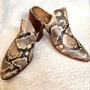 Steve Madden DeAndra Snakeskin Mule